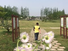 -上海长兴岛郊野公园