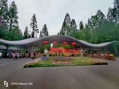 -东平国家森林公园