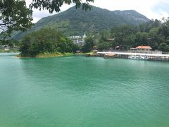 -广州市流溪河国家森林公园