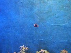 -运城海洋馆