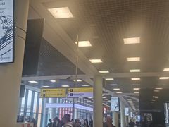-谢列梅捷沃国际机场
