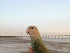 -宝安西湾红树林湿地公园