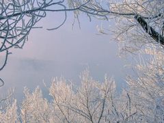 -长白山红松王滑雪场