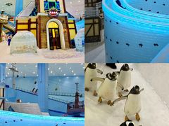 -广州热雪奇迹