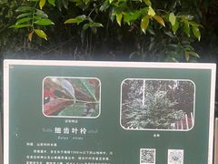 -福道