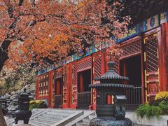-香山公园