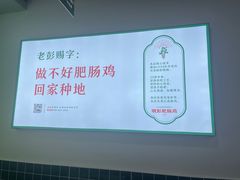 -晓彭肥肠鸡(春熙路店)