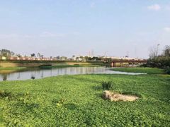 -那考河湿地公园