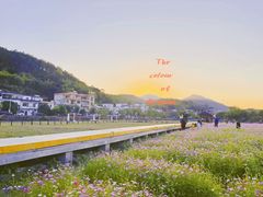-红山村