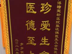 -博特宠物医院24h犬猫全科.骨科·异宠