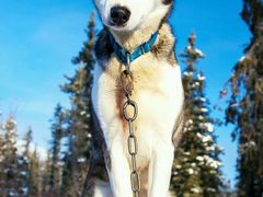 -小科自助海鲜烧肉(高区店)