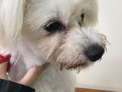 -佳雯宠物医院(四明中路分院)