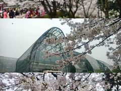 -南山植物园