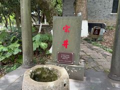 -江心屿景区