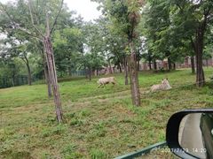 -秦皇岛野生动物园