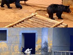-昆明动物园