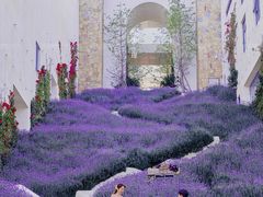 -爱我旅拍婚纱摄影(大理店)