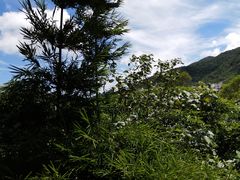 -东部华侨城