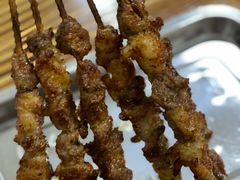 -民族烤羊·烤羊肉串·烤羊排(南城店)