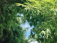 -观山湖公园