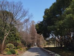 -上海滨江森林公园