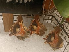 -Social 秀西餐厅-长沙瑞吉酒店(运达店)