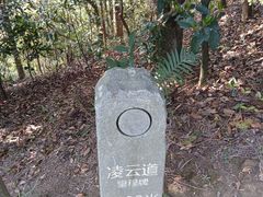 -梧桐山风景名胜区