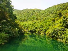 -紫云谷景区