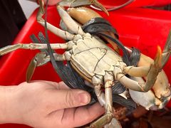 -老财炒饭·熟地蟹·冬瓜蟹