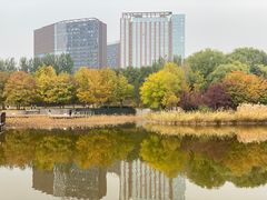 -大望京公园