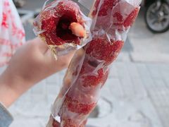 -和禄德冰糖葫芦