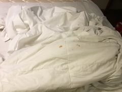 -格林豪泰商务酒店(武汉武昌火车站东广场店)