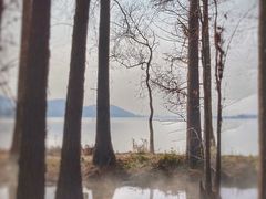 -东湖落雁景区
