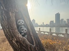 -迎泽公园