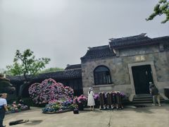 -无锡蠡湖国家湿地公园-蠡园