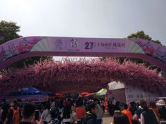 -南汇桃花村