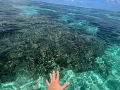 -蓝湾海滩