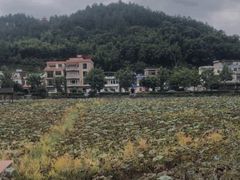-红山村