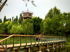 -东郊湿地公园