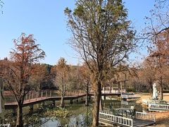 -同里国家湿地公园