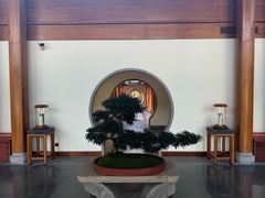 -腾冲和顺柏联酒店