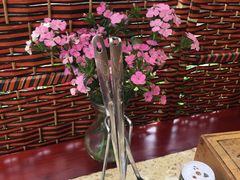 -先机泉水鸡汤(南山老君洞店)