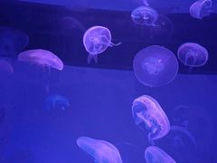 -沈阳海洋探索中心