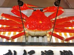 -蟹道乐(道顿堀本店)