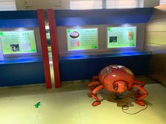 -上海昆虫博物馆