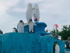 -芜湖新华联大白鲸海洋公园