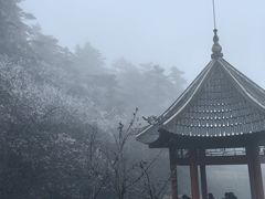 -峨眉山风景名胜区