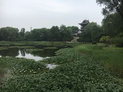 -常家庄园