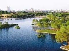 -眉山湿地公园(东坡区)