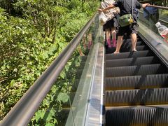 -太湖源风景区